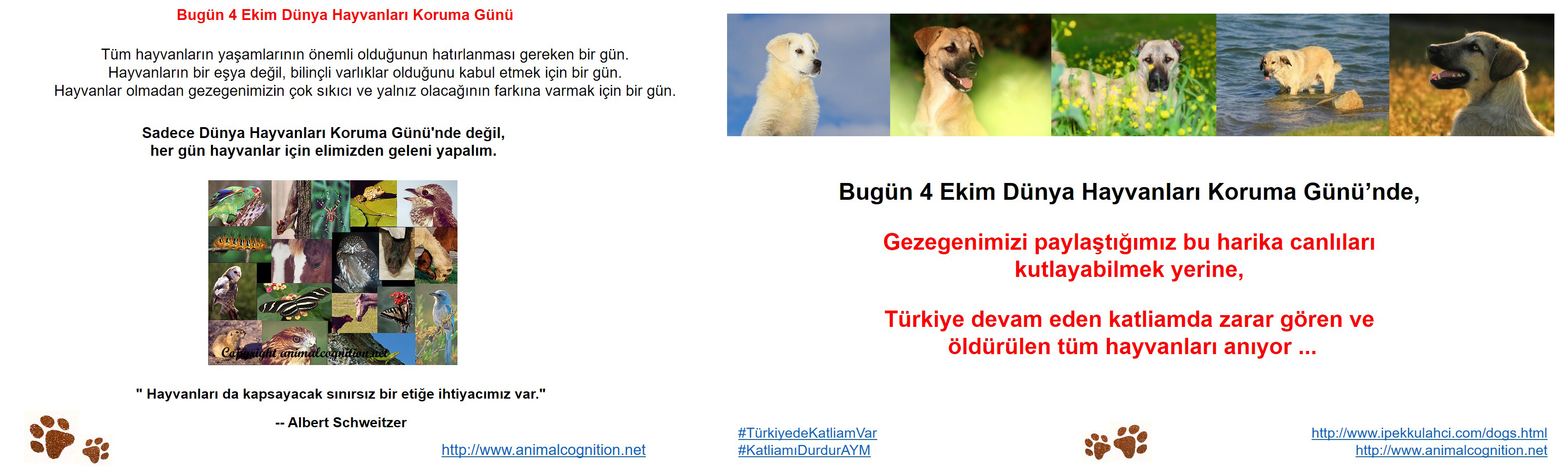 Dunya hayvanlar gunu
